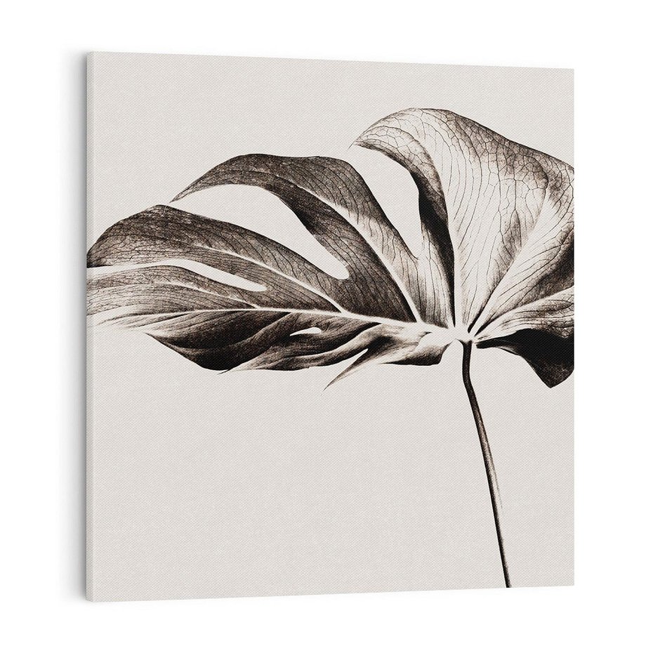 Obraz na płótnie 70x70 - Szapczący Liść - szkic, czarno biały