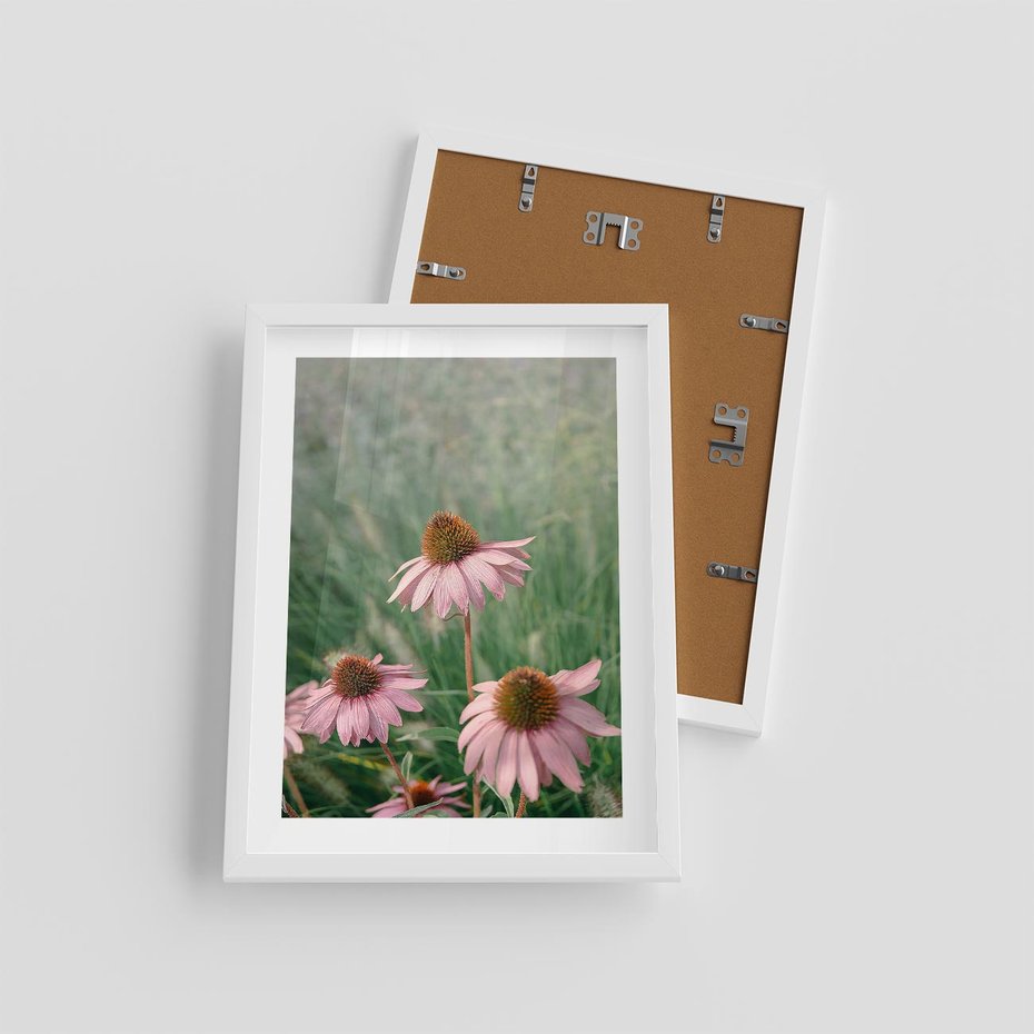 Plakat w ramie 30x40 - Natura w Pełnym Blasku - kwiaty na łące, różowe kwiaty polne - rama biała