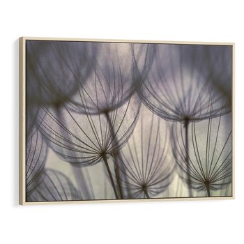 Obraz w ramie 120x80 - Makro dmuchawiec - piękno drobnych detali - dmuchawce, makro - rama drewno