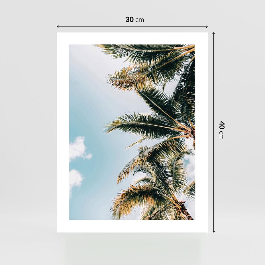 Plakat bez ramy 30x40 - Pod Błękitnym Niebem - palmy, ujęcie z dołu