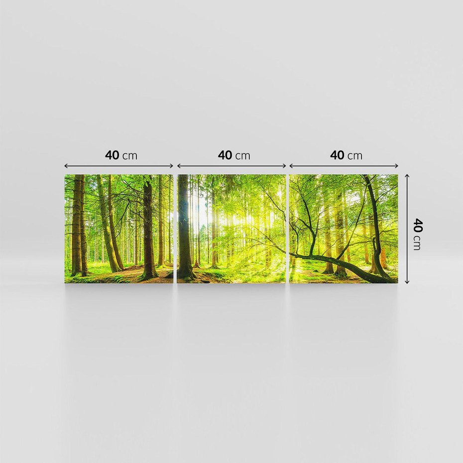 Obraz na płótnie 120x40 - Las w pełnym rozkwicie - las, drzewa