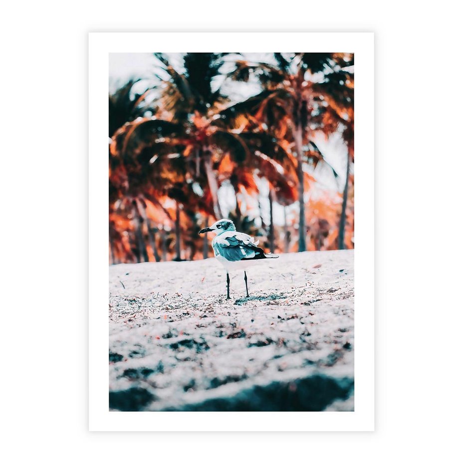 Plakat bez ramy 50x70 - Tropikalna Uroda: Plaża z Mewą - tropikalna plaża, mewa na piasku