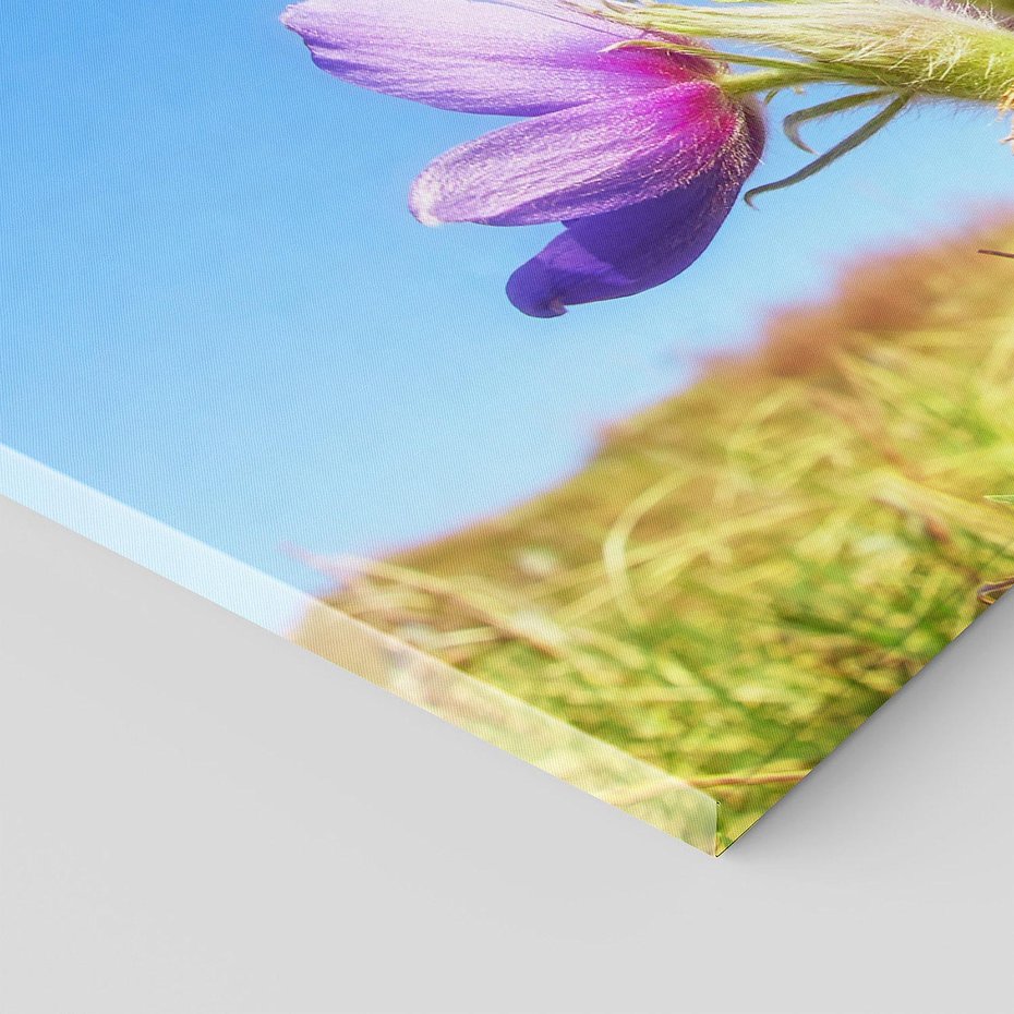 Obraz na płótnie 140x70 - Kwiatowa siła łąki - kwiaty, łąka