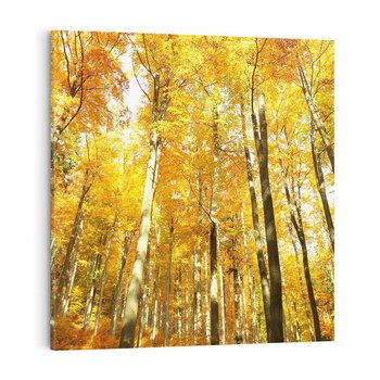 Obraz na płótnie 50x50 - Jesienny Las - Kolorowa Paleta Natury - jesień, drzewa