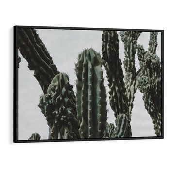 Obraz w ramie 70x50 - Boho oaza wśród kaktusów - kaktusy, pustynia - rama czarna