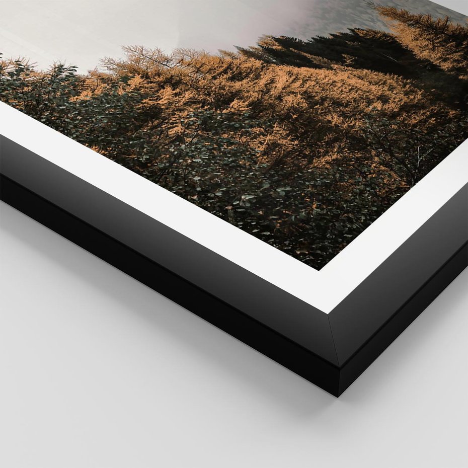 Plakat w ramie 30x40 - Kolorowa Jesień w Górskim Lesie - las, jesień - rama czarna