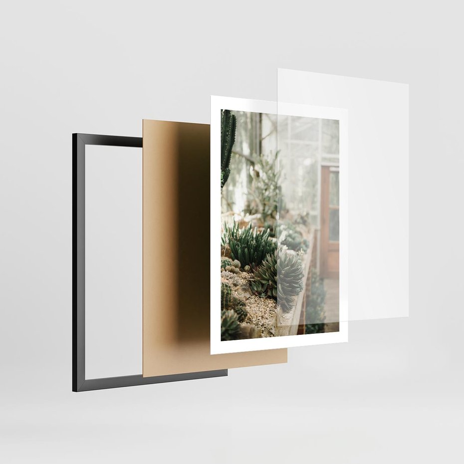 Plakat w ramie 50x70 - Sukulenty w Szklarni - sukulenty, w szklarni - rama czarna