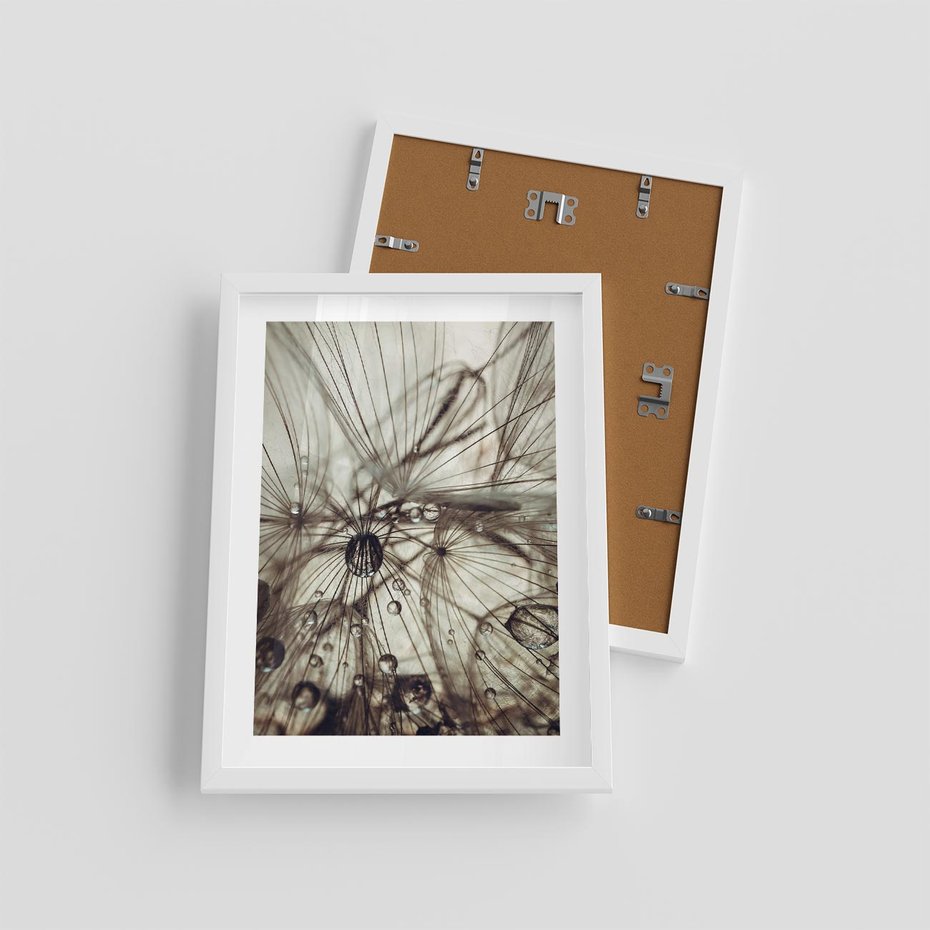 Plakat w ramie 30x40 - Lekkie dmuchawce - dmuchawce, krople - rama biała