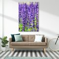 Obraz na płótnie 70x100 - Lawendowa Mgła - lawenda, kwiat