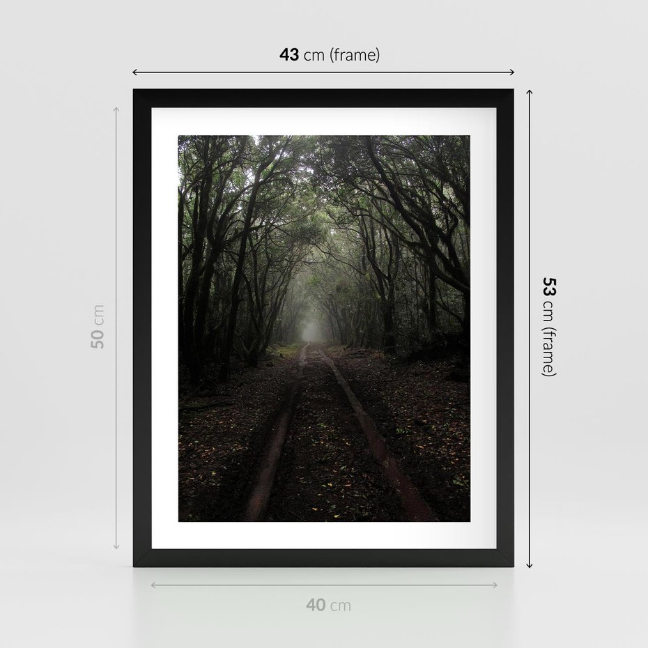 Plakat w ramie 40x50 - Urok Drogi - las, droga - rama czarna