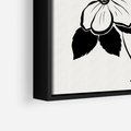Obraz w ramie 50x50 - Poezja kwiecistej kreski - kwiaty, minimalistyczne - rama czarna