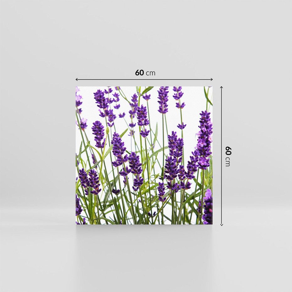 Obraz na płótnie 60x60 - Fioletowa harmonia lawendy - lawenda, fiolet