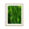 Plakat w ramie 40x50 - Bambusowy urok zielonej harmonii - bambus, zieleń - rama drewno