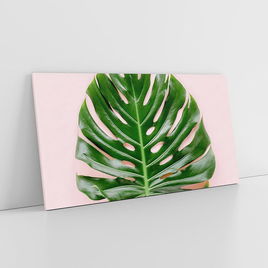 Obraz na płótnie 140x70 - Egzotyczna Roślinność - liście, monstera