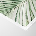 Plakat bez ramy 21x30 - Liście Palmy: Egzotyczna Grafika - palma, liście palmy