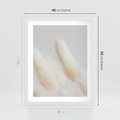 Plakat w ramie 40x50 - Czysty Minimalizm - białe trawy, minimalizm - rama biała