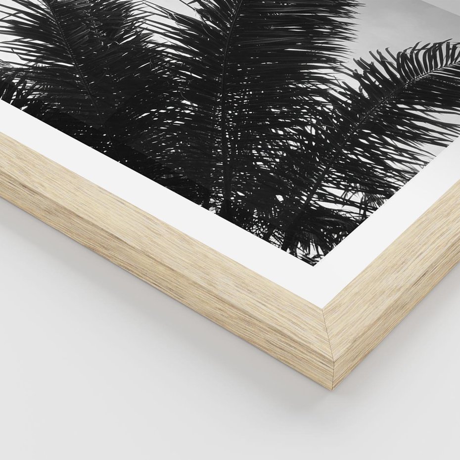 Plakat w ramie 50x70 - Czas Zapomnienia - palmy, czarno biała fotografia - rama drewno