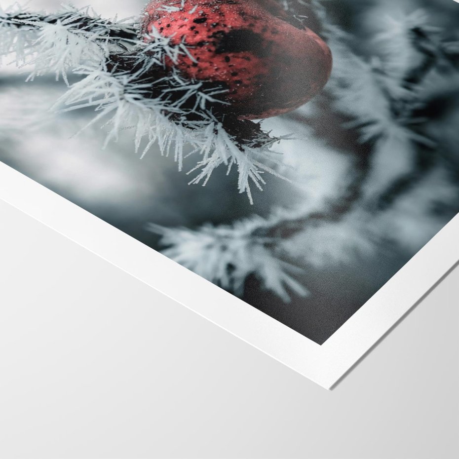 Plakat bez ramy 40x50 - Chwila Zimowego Uroku - zima, ośnieżona gałązka