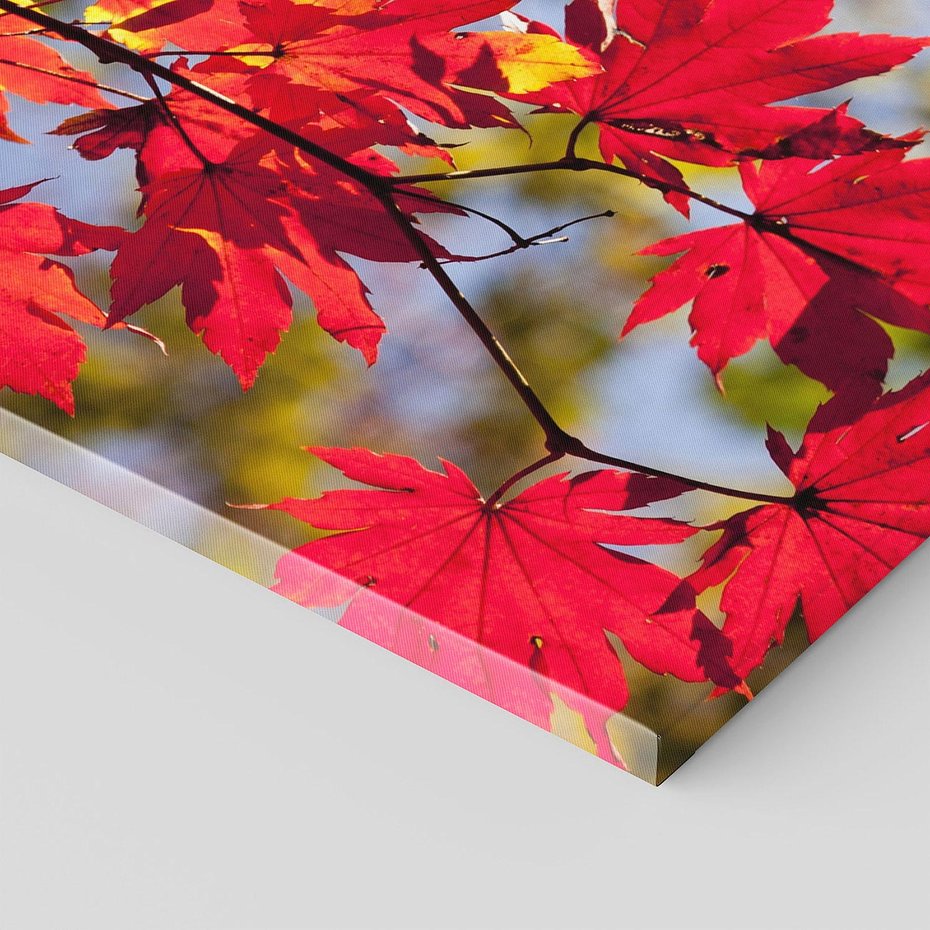 Obraz na płótnie 120x60 - Jesienny Urok Drzewa i Opadających Liści - drzewo, liście