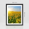 Plakat w ramie 40x50 - Idylla na łące słoneczników - łąka, słoneczniki - rama czarna