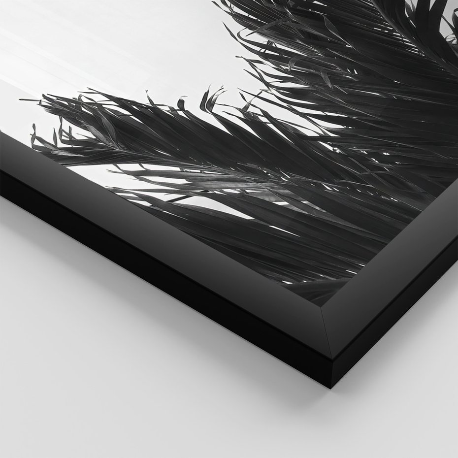 Zestaw obrazy w ramie 40x50 galeria - Palmy, tropiki, liście - rama czarna