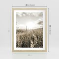 Plakat w ramie 40x50 - Łąka w Klimacie Sepii - suche trawy, łąka - rama drewno