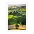 Plakat bez ramy 40x50 - Prowansja: malownicze winnice w kraju Włoch - Prowansja, Włochy