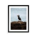 Plakat w ramie 30x40 - Portret Ptaka Morskiego - maskonur, ptak - rama czarna