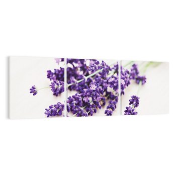 Obraz na płótnie 150x50 - Urok lawendowych kwiatów - lawenda, kwiaty