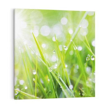 Obraz na płótnie 40x40 - Delikatna trawa pokryta rosą - trawa, rosa
