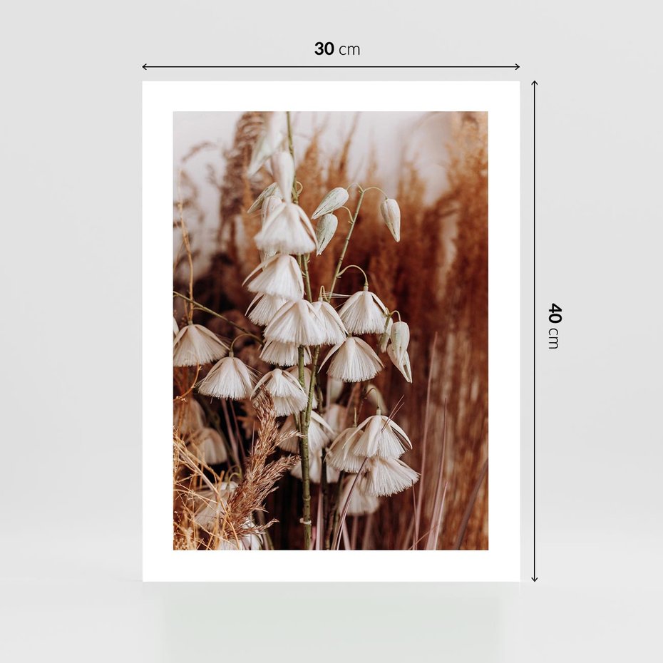 Plakat bez ramy 30x40 - Boho Styl z Suchymi Trawami - suche trawy, bogo styl