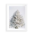 Plakat w ramie 50x70 - Zimowa Poezja w Ośnieżonym Drzewie - ośnieżone drzewo, zima - rama biała