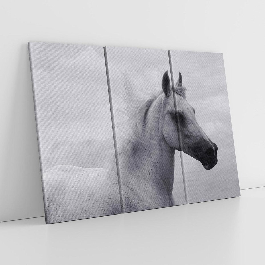 Obraz na płótnie 120x80 - Moc i Wolność - czarno biała fotografia, biały