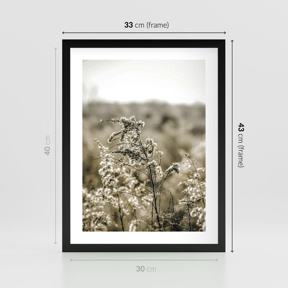 Plakat w ramie 30x40 - Pampas i Bocho - suche trawy, bocho - rama czarna