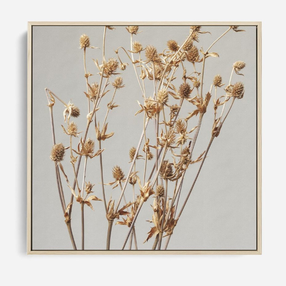 Obraz w ramie 80x80 - Delikatne gipsówki - gipsówka, suche - rama drewno