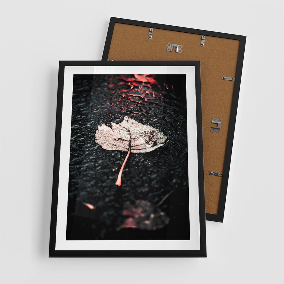 Plakat w ramie 50x70 - Jesień w Detalu: Liść na Mokrej Drodze - liść, jesień - rama czarna