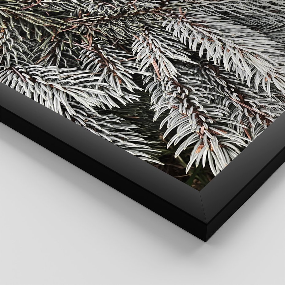 Zestaw obrazy w ramie 30x40 galeria - Las, zima, kawa - rama czarna