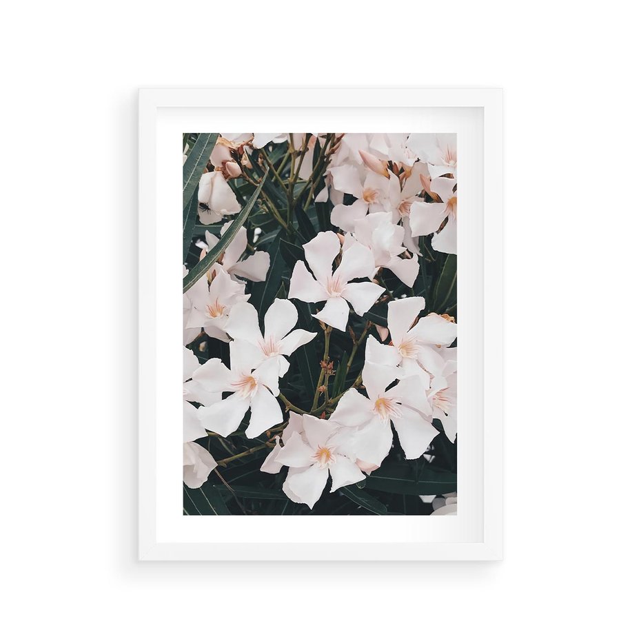 Plakat w ramie 30x40 - Egzotyczna Uroda - białe kwiaty, tropikalne kwiaty - rama biała
