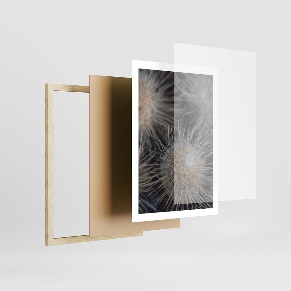 Plakat w ramie 50x70 - Ulotna Piękność Natury - makro, dmuchawce - rama drewno