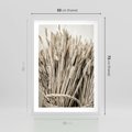 Plakat w ramie 50x70 - Letni Plon - zboże, kłosy zboża - rama biała