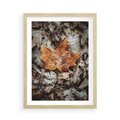 Plakat w ramie 50x70 - Jesienne Czarowanie - suchy liść, żółty - rama drewno