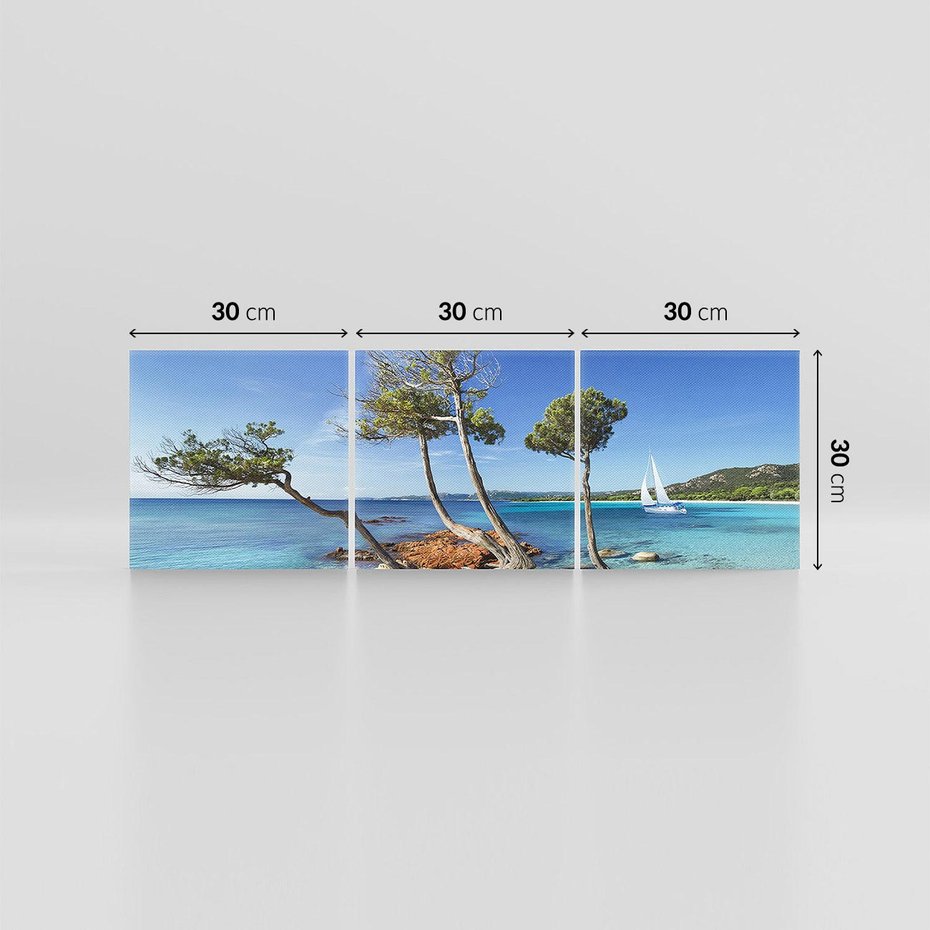 Obraz na płótnie 90x30 - Korsyka - morze i drzewa - Korsyka, morze