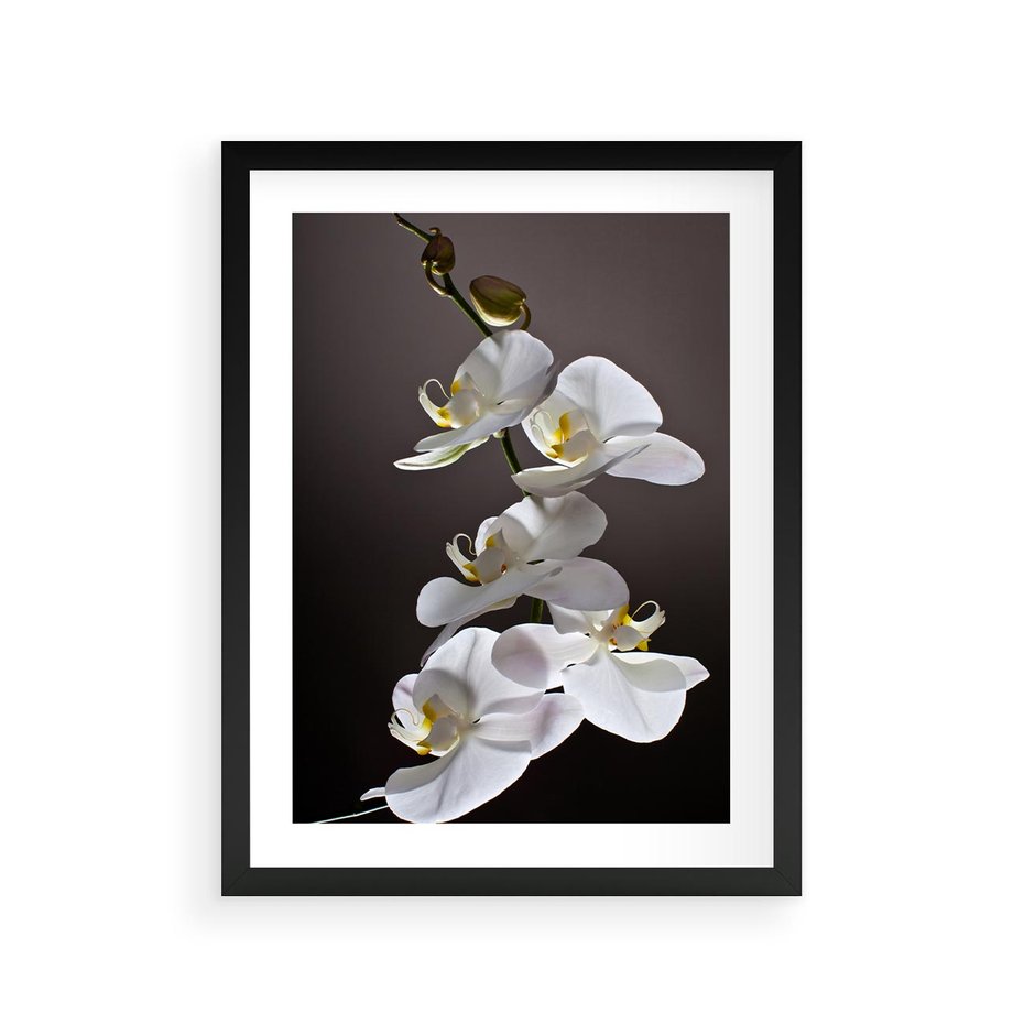 Plakat w ramie 30x40 - SPA: harmonia z kwiatami - spa, kwiaty - rama czarna