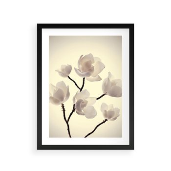 Plakat w ramie 30x40 - Elegancja Natury - magnolia, białe - rama czarna