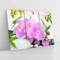 Obraz na płótnie 120x80 - Orchidea w SPA - spa, orchidea