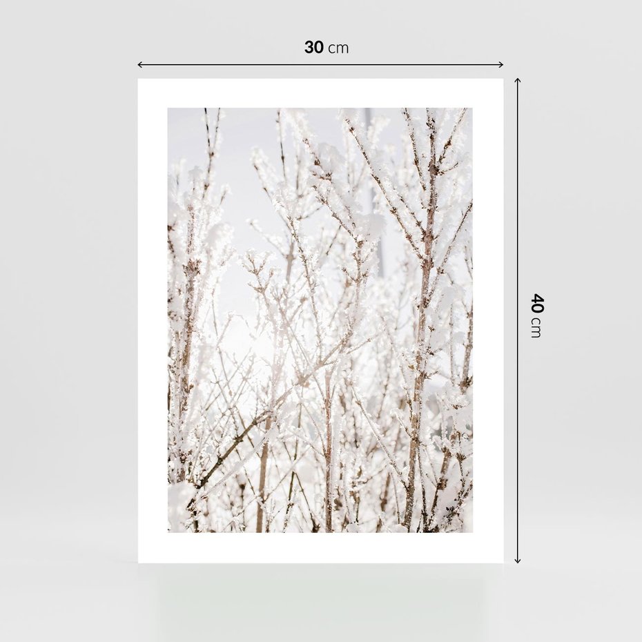 Plakat bez ramy 30x40 - Szron na Gałęziach - ośnieżone gałązki, szron na gałęziach