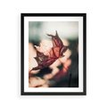 Plakat w ramie 40x50 - Liść w Jesieni - jesienny liść, czerwony - rama czarna