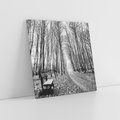 Obraz na płótnie 60x60 - Spadające Liście - czarno białe zdjecie, park