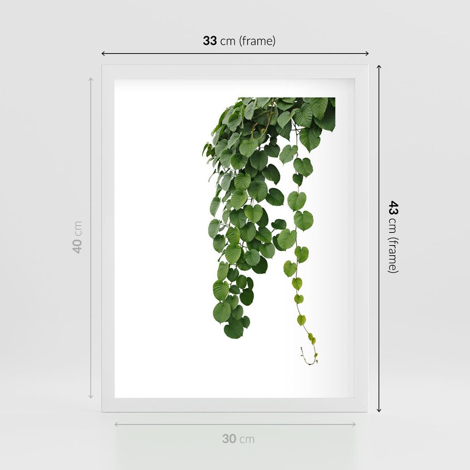 Plakat w ramie 30x40 - Świeżość Natury - liście, zielone - rama biała