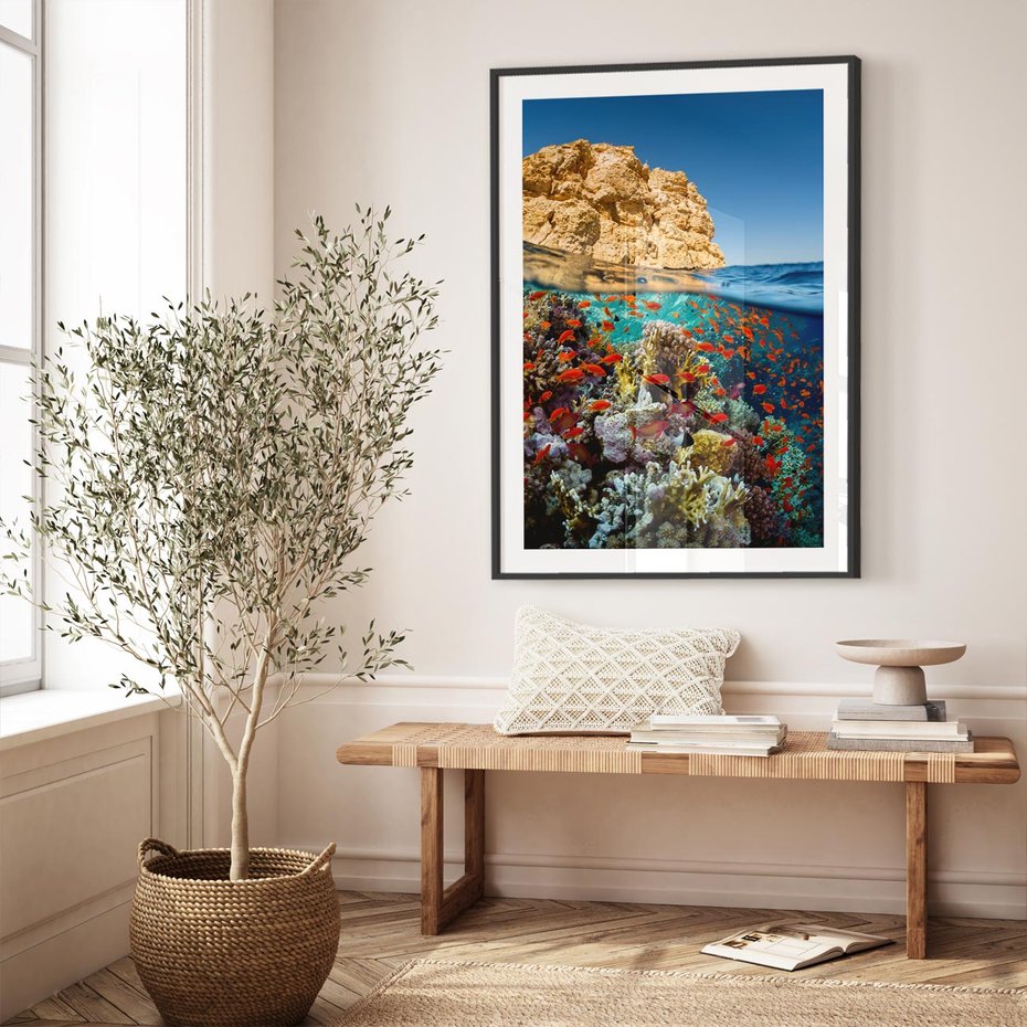 Plakat bez ramy 40x50 - Rafa koralowa w oceanie - rafa, koralowa